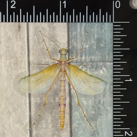 🌀10/$10🌀 Translucent Moth Dragonfly Beetle Reusable Waterproof Sticker Decal - Picture 1 of 1